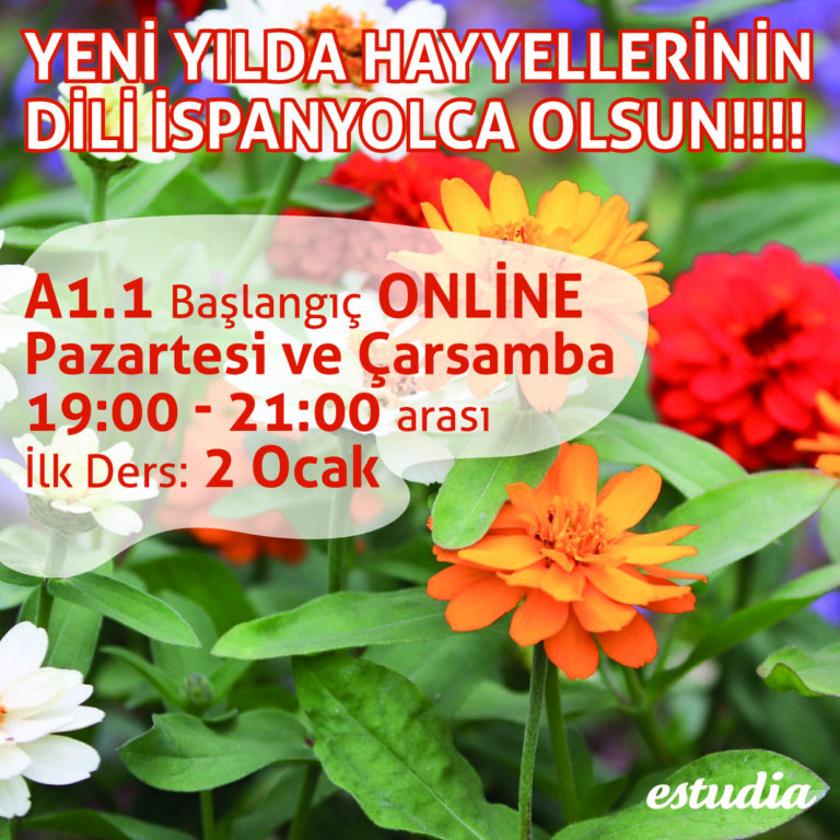 YENİ YILDA HAYYELLERİNİN DİLİ İSPANYOLCA OLSUN!!!!