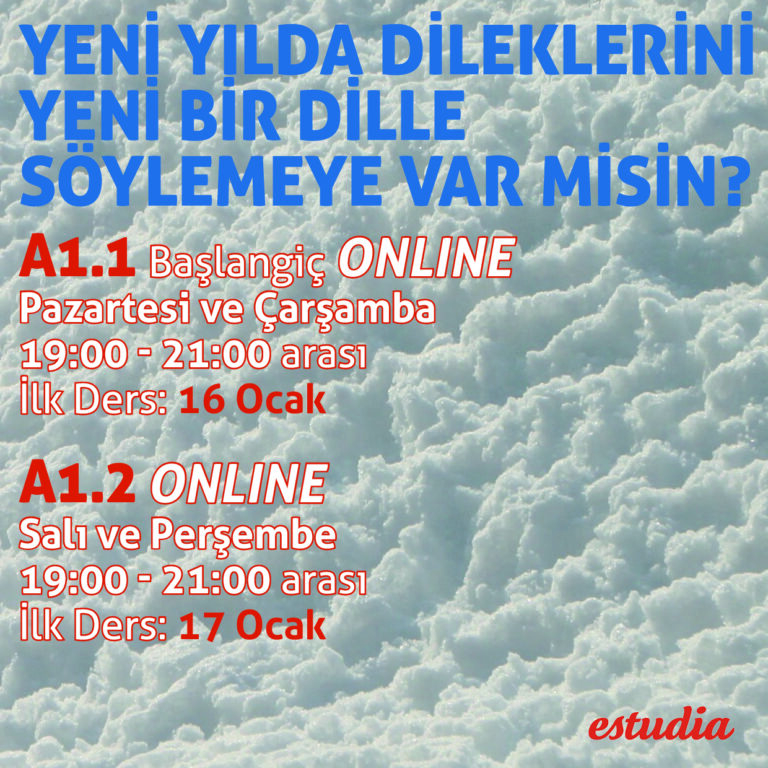 YENİ YILDA DİLEKLERİNİYENİ BİR DİLLESÖYLEMEYE VAR MİSİN?